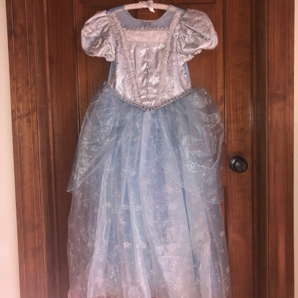 Cinderella Costume